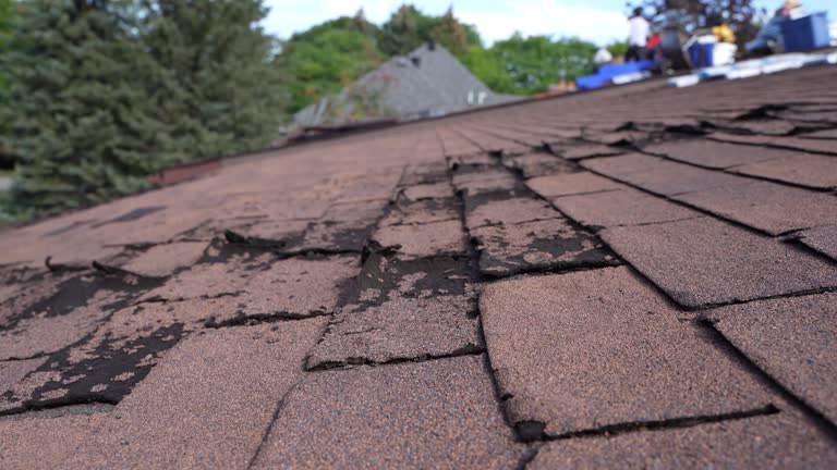Best Roof Inspection  in Iuka, MS