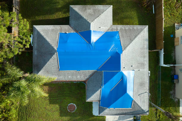 Best Asphalt Shingle Roofing  in Iuka, MS